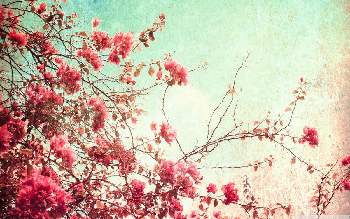 flower-wallpaper-tumblr-wallpaper-12